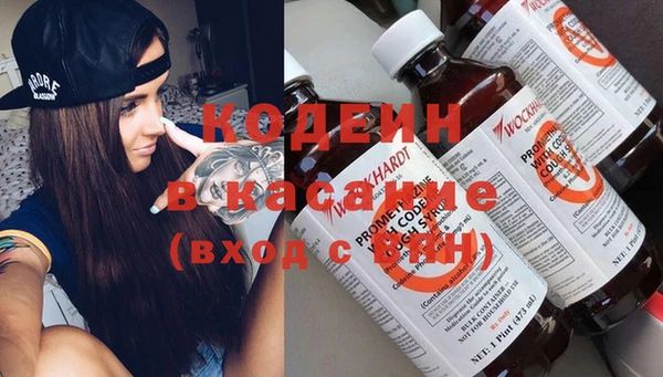 гашик Инсар