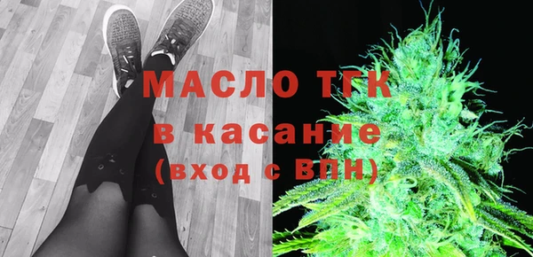 гашик Инсар