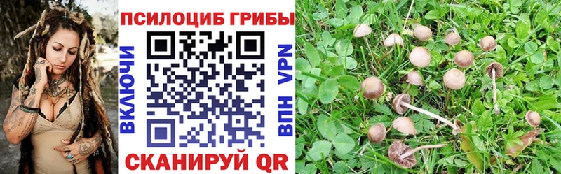 Галлюциногенные грибы MAGIC MUSHROOMS  Почеп 